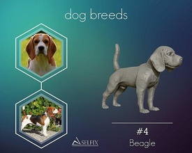 beagle modelo 3d impresión perro escultura estatua arte esculturas animal perrito 3d print model - Mito3D