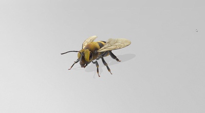 abeille stl 3d monstre monstres brillant réaliste moteur irréel 4 art 3d print model - Mito3D