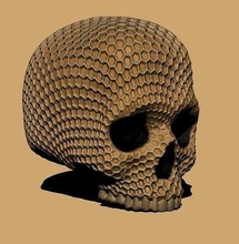 colmena cráneo abeja miel impresión diseño avispa animal esqueleto escultura arte esculturas 3d print model - Mito3D