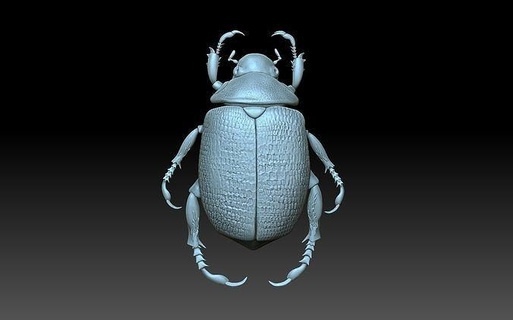 beetle bug insect nature cnc relief pedant figurine art 3d print model - Mito3D