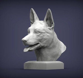 Belga malinois busto perro naturaleza mamífero animal mascota escultura estatuilla recuerdo presente 3d impresión modelo esculpir esculturas imprimible Arte 3d print model - Mito3D