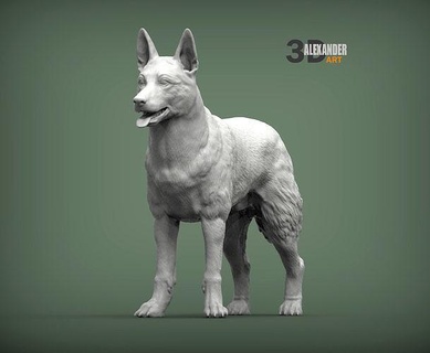 Belga malinois perro naturaleza mamífero animal mascota escultura estatuilla recuerdo presente 3d impresión modelo esculpir esculturas imprimible Arte 3d print model - Mito3D