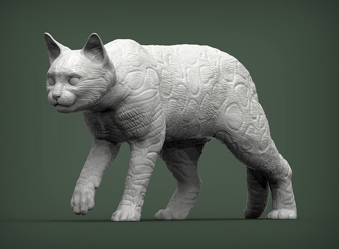 Bengal kedi hayvan memeli vahşi Evcil Hayvan Yavru doğa yavrusu heykel heykelcik hatıra 3d Yazdır model Sanat heykeller bengal kedisi 3D print model - Mito3D