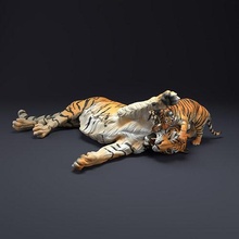 bengala tigre cucciolo 3d stampa animale predatore gatto grande creatura realistico compagno dnd giungla foresta scultura figurina figura miniatura fauna selvatica arte sculture 3d print model - Mito3D