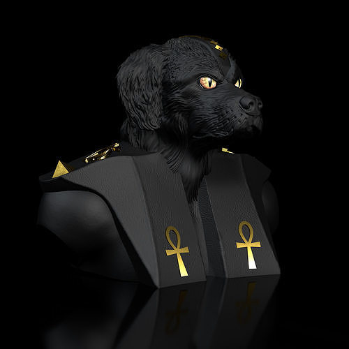 bernés montaña perro anubis bust high polygon stl print file Arte queisser qu3d 3d impresión expediente alto polígono escultura perros animal busto diseño bernhard esculturas 3D print model - Mito3D