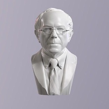 Bernie Schleifmaschinen Porträt Skulptur Statue Gesicht Kopf Büste politisch USA Kunst Skulpturen 3d print model - Mito3D