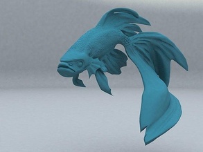 betta balık hobi minyatür Sanat şekil kendin yap 3d print model - Mito3D