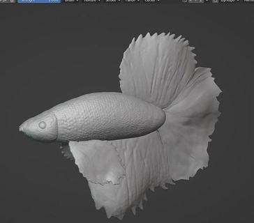 Betta Fisch Tier Meer Wasser Tiere Aquarium Kaiserfisch Kunst Skulpturen 3d print model - Mito3D
