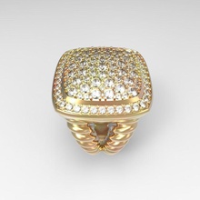 grosse bague bijoux gros de l'anneau ben willard mégère la vermine parler peste les anneaux 3d print model - Mito3D