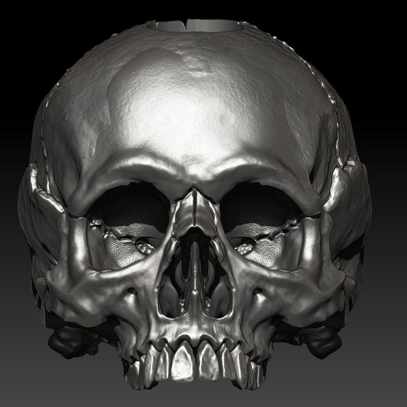 gran cráneo de bolas clásico bolilla las perlas el motorista hueso la joyería 3dprint plata imprimible oro jow cuchillo paracord otros 3D print model - Mito3D
