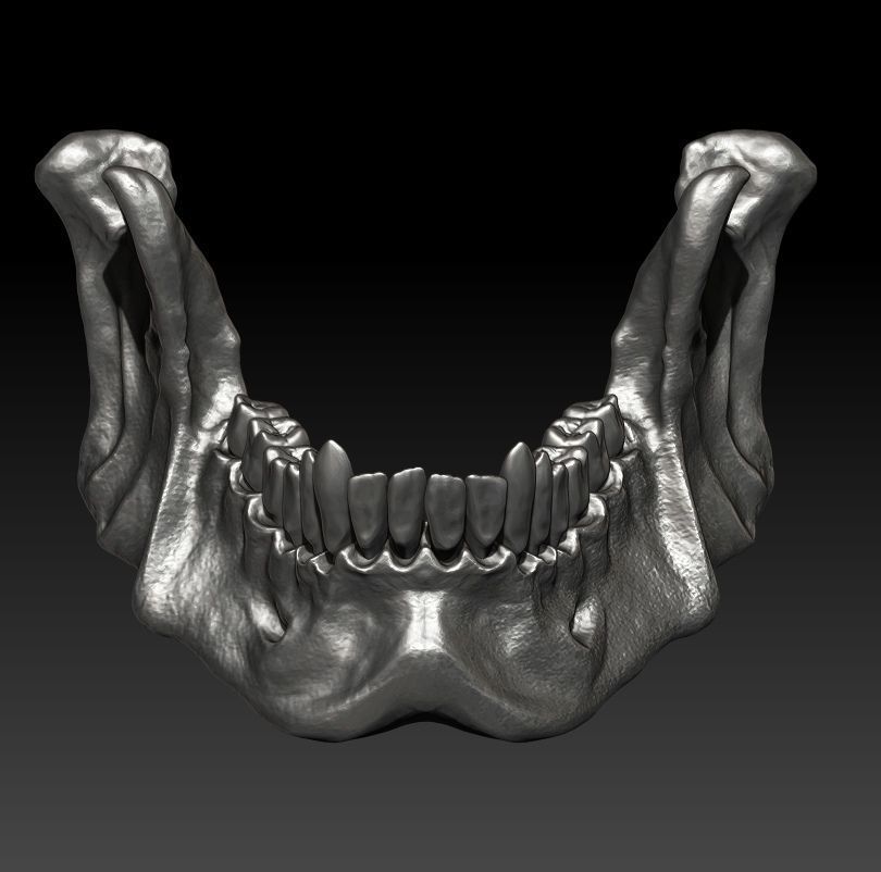 big skull bead jow sin beads biker bone jewelry 3dprint jewellery silver printable gold knife paracord 3D print model - Mito3D