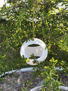 bird feeder - mobius blop contemporary clam egg summer outdoor modern ball form house sphere parametric future futuristic human people spaceship 3d print model - Mito3D
