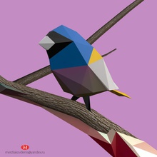 oiseaux art faible poly d'oiseaux 3dprint minimes de la conception animal lowpoly caractère dessin animé style jeu modèle nature l'intérieur d'autres 3d 3d print model - Mito3D