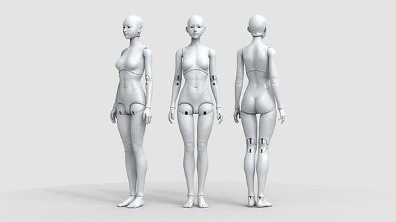 bjd doll liana ball joint human 3d printing mannequin body art sculptures figure template jointed beautiful uniform girl woman character lady toy 3d print model - Mito3D
