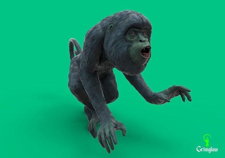 noir hurleur singe animal animaux amazone biologie primate sauvage jungle tropical vert créature art sculptures 3d print model - Mito3D