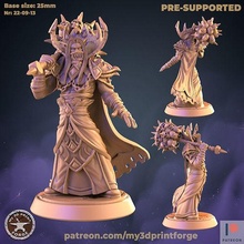 blood prince tal fantasy warcraft dnd miniature stl presupported model resin wow citadel dungeon raid boss elf council games toys board 3d print model - Mito3D