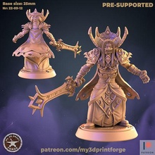 blood prince val fantasy warcraft dnd miniature stl presupported model resin wow citadel dungeon raid boss elf council games toys board 3d print model - Mito3D