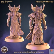 blood vampire prince fantasy warcraft dnd miniature presupported model resin wow citadel dungeon raid boss elf council games toys board 3d print model - Mito3D