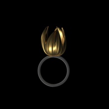 il fiore gioielli floreale anello matrimonio anelli 3d print model - Mito3D