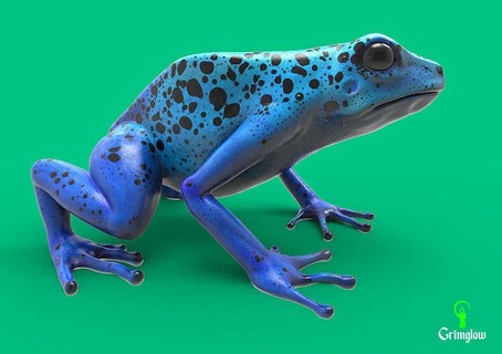 blu dardo rana animale animali rospo natura anfibio arte fauna selvatica giungla tropicale verde creatura amazon veleno foresta miniature sculture 3d print model - Mito3D