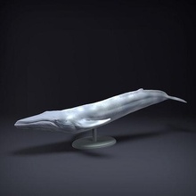 bleu baleine 3d impression animal géant Marin océan mer poisson faune créature réaliste l'eau sculpture figurine figure miniature art sculptures 3d print model - Mito3D