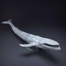 blu balena aperto bocca 3d stampa animale gigante marino oceano mare pesce fauna selvatica creatura realistico acqua scultura figurina figura miniatura natura statua arte sculture 3d print model - Mito3D
