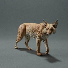 bobcat- lynx animal bobcat cat mammal wild wildlife creature realistic sculpture figurine figure miniature art sculptures 3d print model - Mito3D