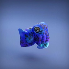 bobtail Lula 3d impressão animal fofa polvo mar água brinquedo escultura figura miniatura pré suportado apoiado criatura companheiro oceano peixe estátua tentáculo desenho animado arte esculturas 3d print model - Mito3D