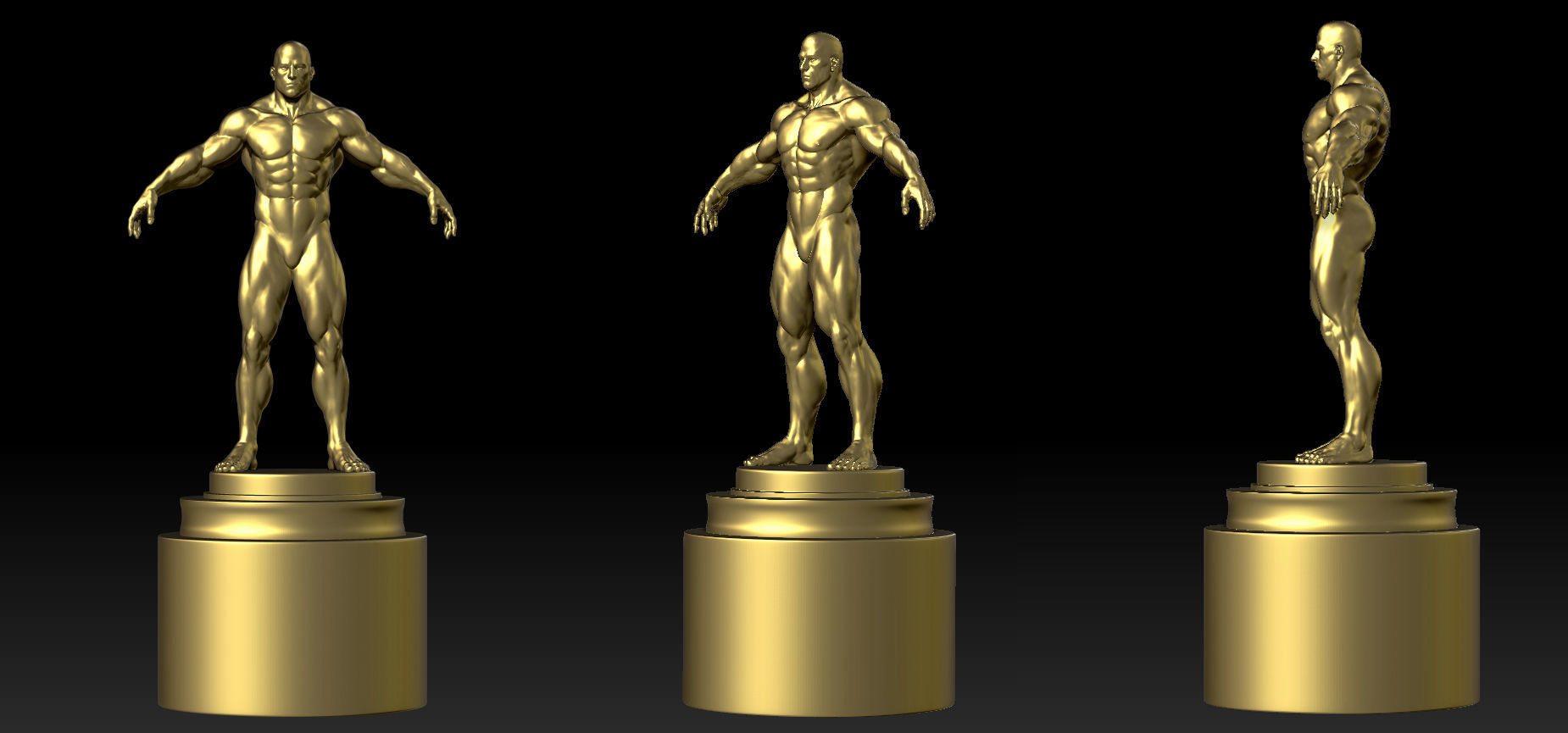 culturismo trofeo músculo hombre deporte cuerpo gimnasio aptitud fuerza levantamiento peso torso muscular atlético ejercicio arte esculturas 3D print model - Mito3D