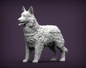 sınır Collie doğa memeli hayvan Evcil Hayvan heykel heykelcik hatıra 3d Yazdır model şekil vermek heykeller yazdırılabilir köpek Sanat 3d print model - Mito3D