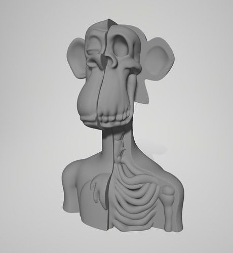 gelangweilt Affe Büste Anatomie Bucht nft Krypto Bitcoin Äther Yacht Verein 3d Schädel Kunst Skulpturen 3D print model - Mito3D