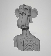 canı sıkkın maymun büst anatomi bayc nft kripto bitcoin Ethereum yat kulüp 3d kafatası Sanat heykeller 3d print model - Mito3D