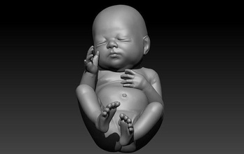 nascermos bebê 3d modelo stl impressão fofa criança personagem arte esculturas 3d print model - Mito3D