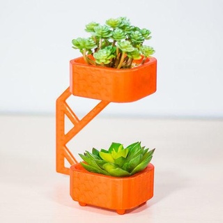 bosco cactus leaf nature flower pot plant succulent house 3d print model - Mito3D