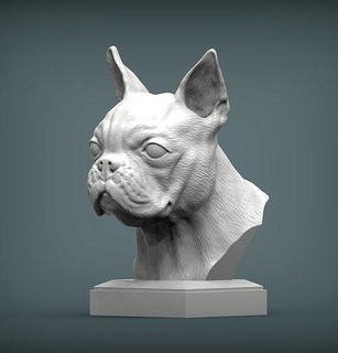 Boston teriyer büst köpek doğa memeli hayvan Evcil Hayvan heykel heykelcik hatıra mevcut 3d Yazdır model şekil vermek Sanat heykeller 3d print model - Mito3D