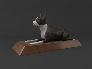 boston terrier 3d imprimable chien dogy chiot modèle impression prêt 3dprint animal compagnie art sculptures 3d print model - Mito3D