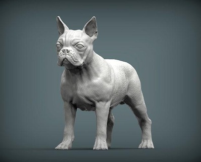 boston teriyer köpek doğa memeli hayvan evcil heykel heykelcik hatıra 3d yazdır model şekil vermek sanat heykeller yazdırılabilir 3d print model - Mito3D