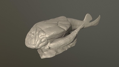 bothriolepsis fish animal dinosaur paleoart art sculptures 3d print model - Mito3D