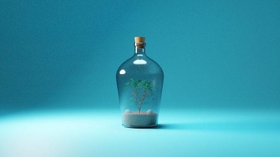 Flasche Baum Glas Natur Möbel Hobby DIY 3d print model - Mito3D