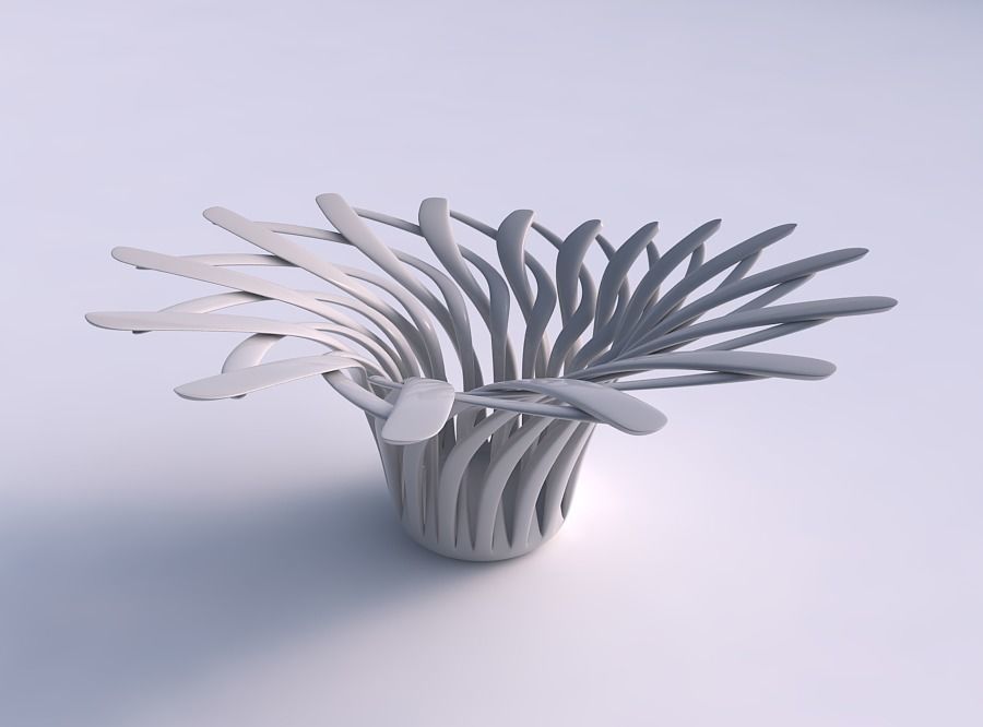 kase kas yapısı eksantrik bükülmüş ev Kas dekor 3D print model - Mito3D