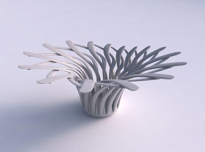 kase kas yapısı eksantrik bükülmüş ev Kas dekor 3d print model - Mito3D