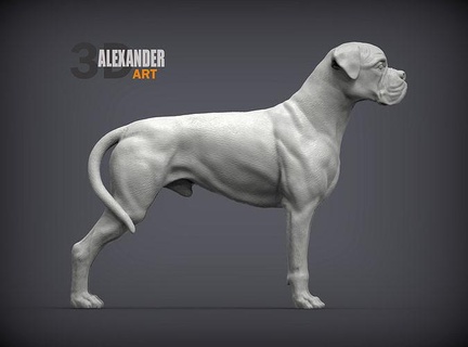 boxer cão natureza mamífero animal escultura estatueta lembrança presente 3d impressão modelo esculpir esculturas imprimível arte 3d print model - Mito3D