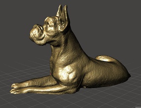pugile cane realistico scultura stampabile miniatura modello aprile arte sculture 3d print model - Mito3D