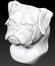 boxer dog box bust head statue animal wolf art sculptures printable 3d print detailed realistic face pitbull body cnc jewel 3d print model - Mito3D
