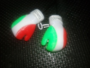 boxeur gant tricolore 5 pièces 3d impression boîte 3dprint portachiavi porte clés gants loisir diy 3d print model - Mito3D