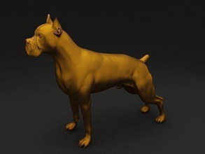 boxer de haute modèle 3d détaillé art chien animal compagnie 3dmodel sculptures 3d print model - Mito3D
