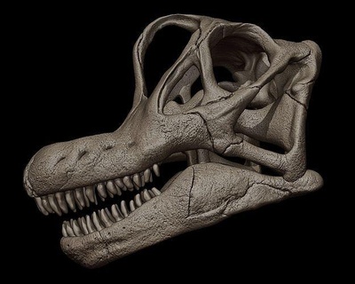 braquiosaurio cráneo 3d impresión modelo dinosaurio criatura animal lagartija jurásico reptil prehistórico dinosaurios tirano saurio Rex triceratops tiranosaurio raptor saurópodo monstruo parque esculturas Arte 3d print model - Mito3D