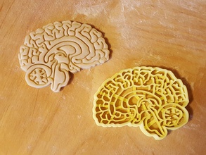brain cookie cutter biology neurology anatomy science biscuit cookies protonik gingerbread baked bakery baking kitchen organ dining house 3d print model - Mito3D