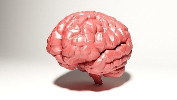 cérebro impressão anatomia corpo sabedoria vetores psicologia intelectual intelecto inteligência neural ilustração neurologia sinapse anatômico mente incisivo boca mulher scifi arte 3d print model - Mito3D