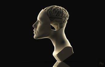 el cerebro de la escultura 3d los archivos impresión art 3dprint 3dprinting zbrush estatua las esculturas busto anatomía ciencia retrato cara mujer niña 3d print model - Mito3D